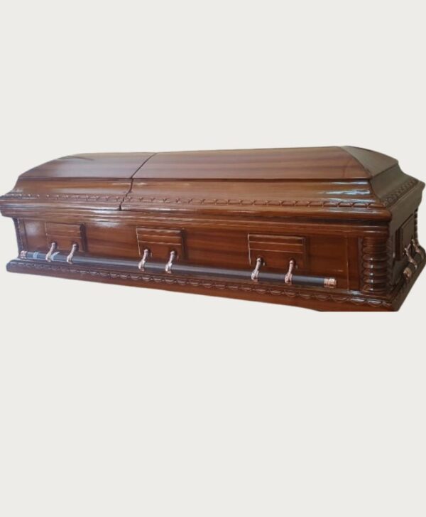 dome swing bar casket