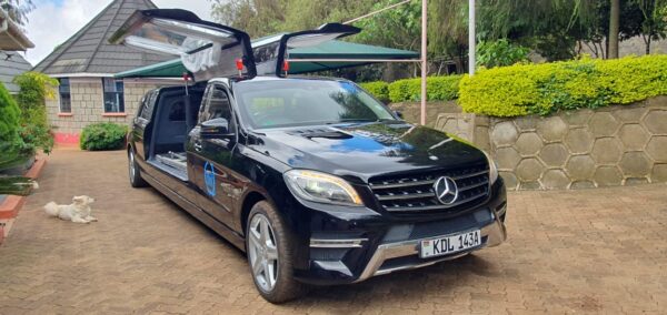 limo hearse front view perozie