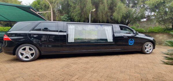 limo hearse side view perozie